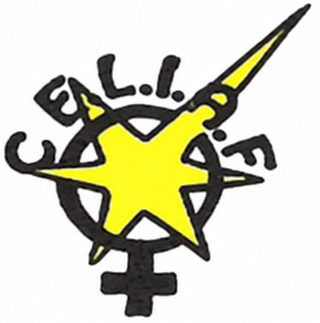 ONG CELIAF